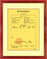 中国人寿保险公司特制纯金箔保单
