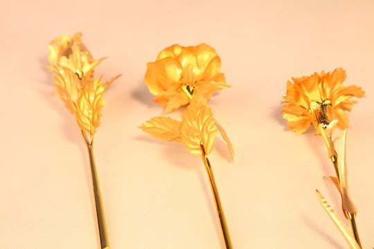 三种黄金花展示